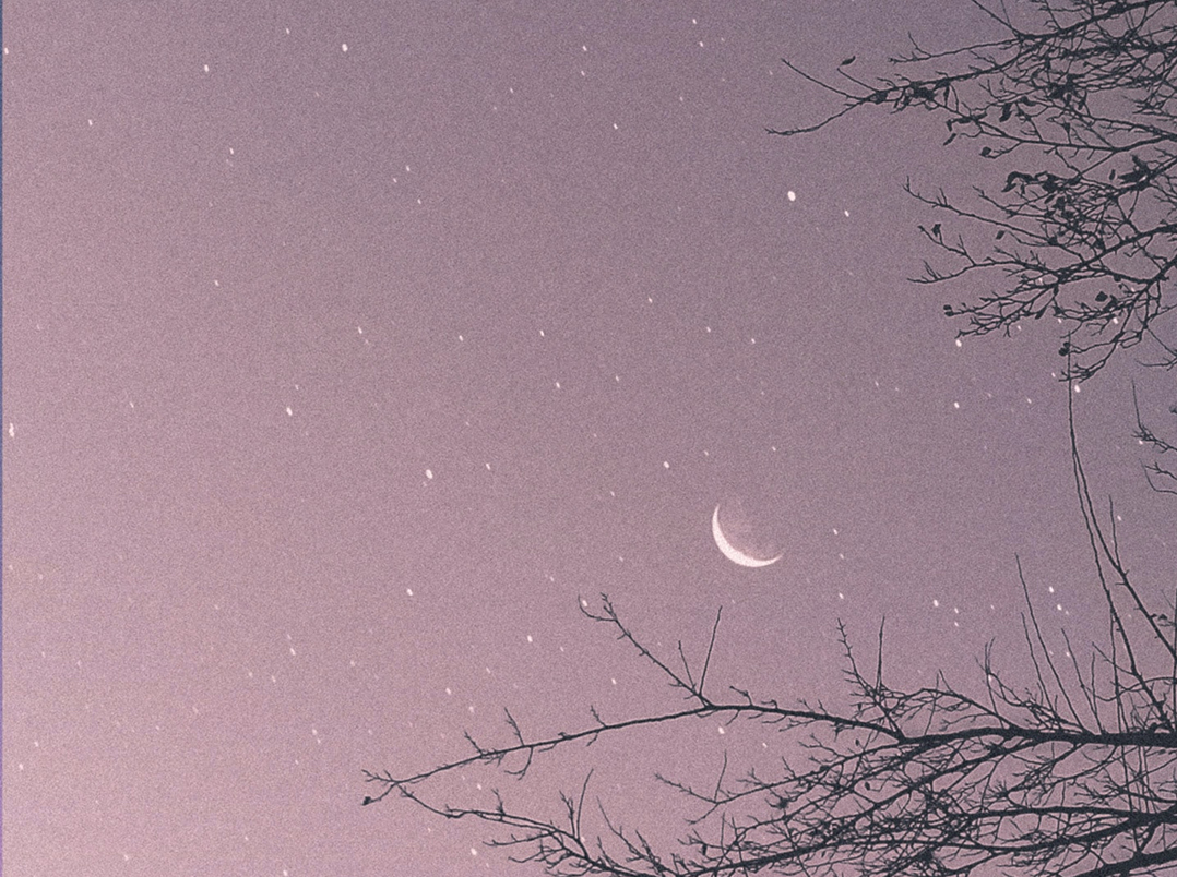 crescent moon in pale sky