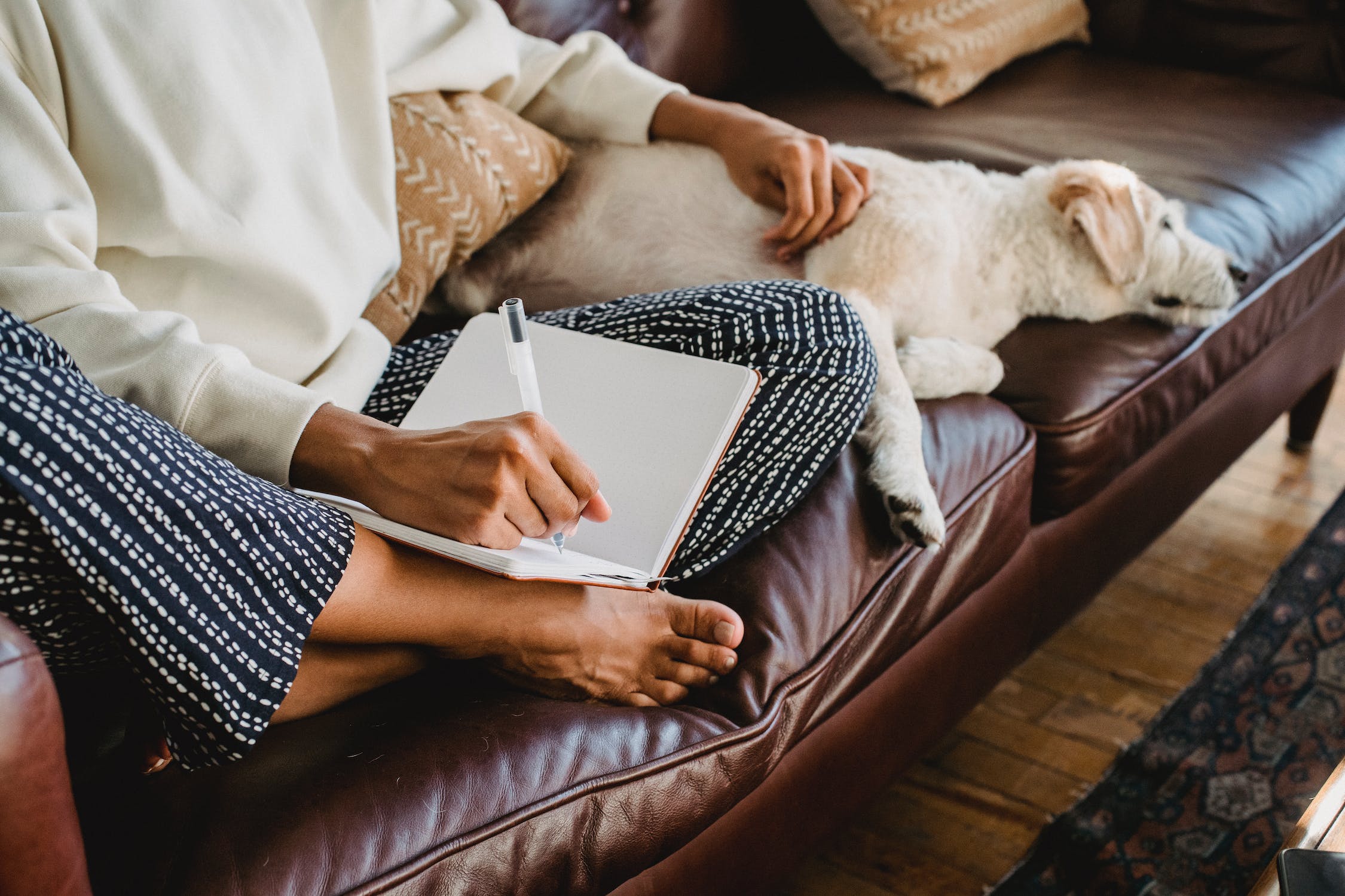 stock photo of someone on couch sitting criss cross with one hand holding pen and writing in journal and other hand on dog laying on couch.